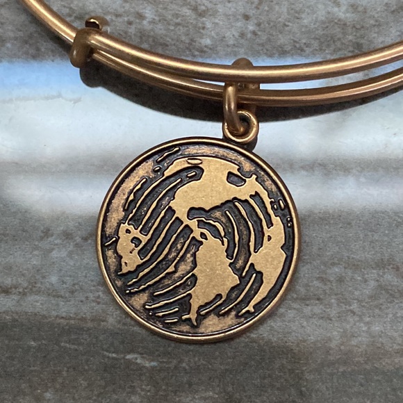 Alex And Ani World Globe Map Bangle Bracelet - Picture 5 of 8
